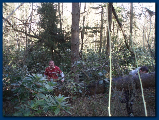 600x449 pixels (203K)